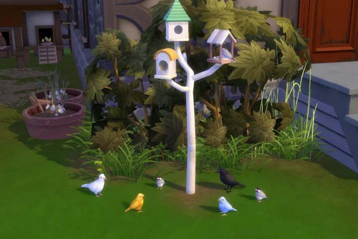 Bunch of Birds Set