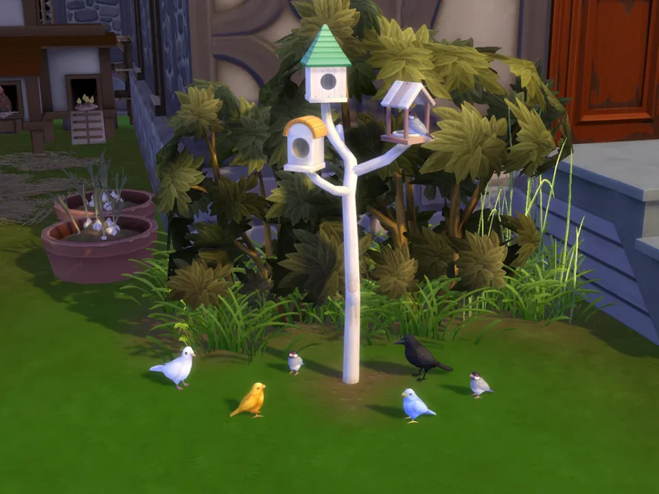 Bunch of Birds Set