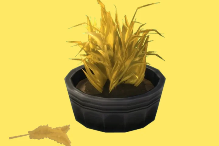 Brown Rice (Harvestable)