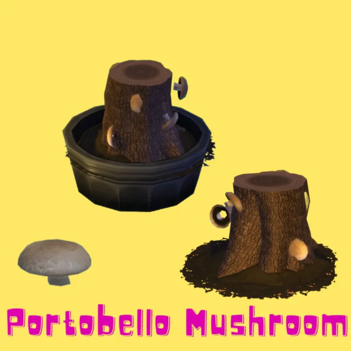 Portobello Mushroom