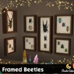 Framed Beetles