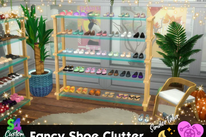 Fancy Shoe Clutter