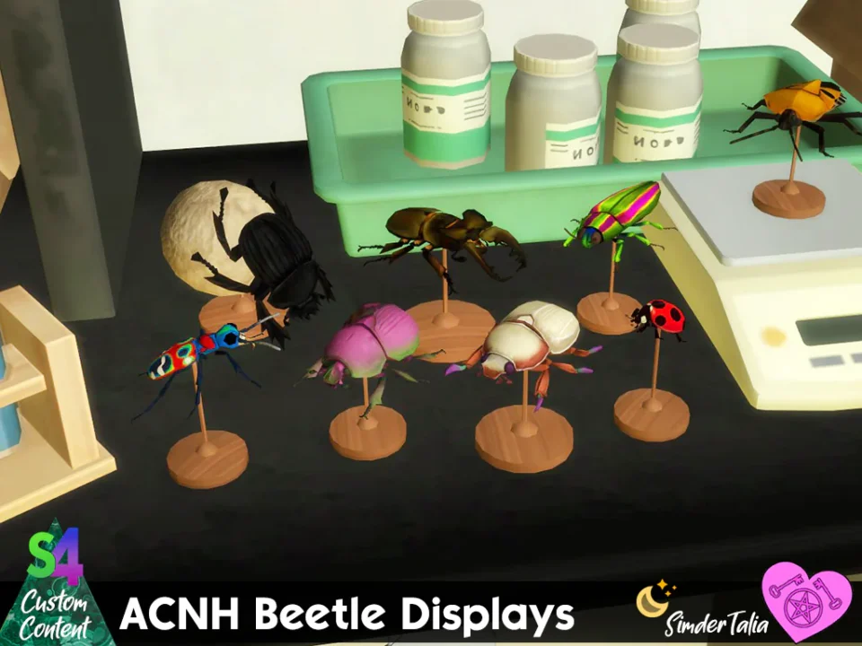 Beetle Displays