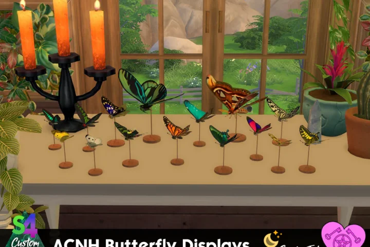 Butterfly Displays