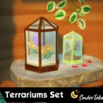 Terrariums Set
