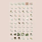 Summer Garden Part1(63 items)