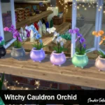 Witchy Cauldron Orchid