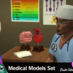 Medical Models Set