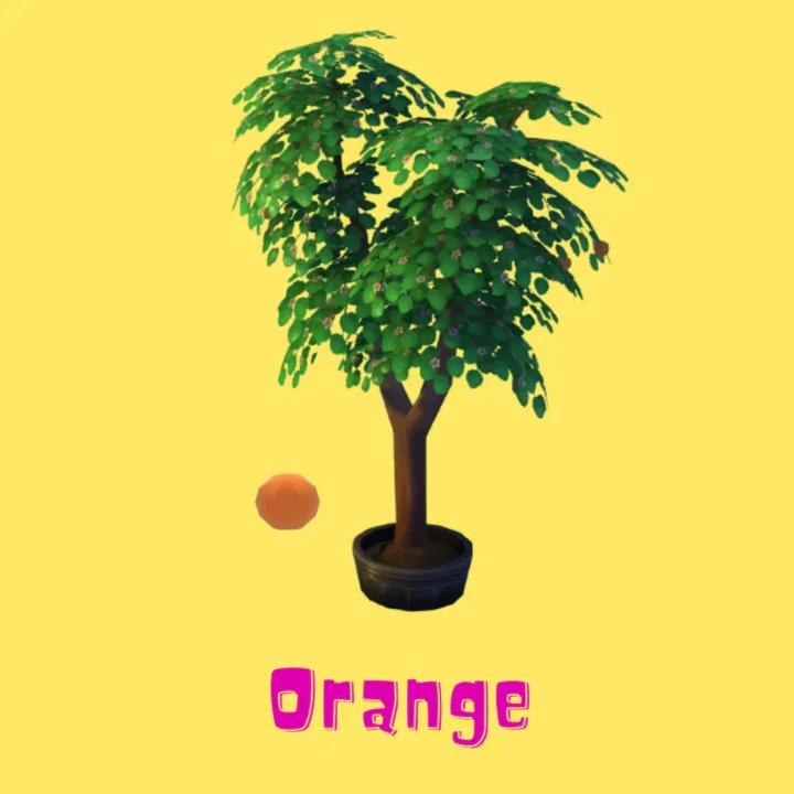 Orange