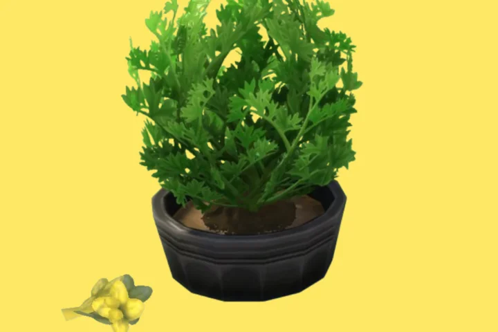 Sencha (Harvestable)