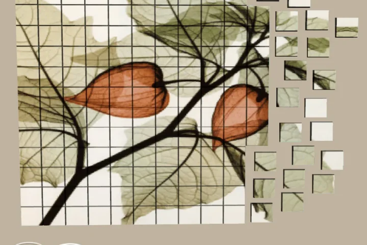 Screaming Retro Painting