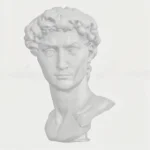 Minimal statue Michelangelo's David head