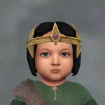 TSM Evil Wizard Crown with Hair