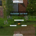 Enchanted Salt Rock