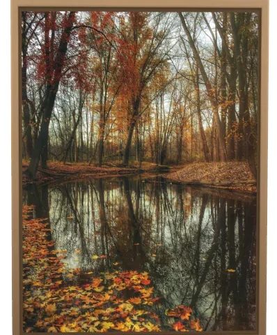 Autumn forest wall prints