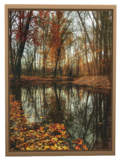 Autumn forest wall prints