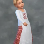 Windslar Dress with Sweater