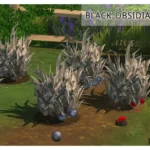 Functional Obsidian Candy Jar