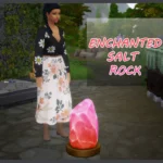 Enchanted Salt Rock