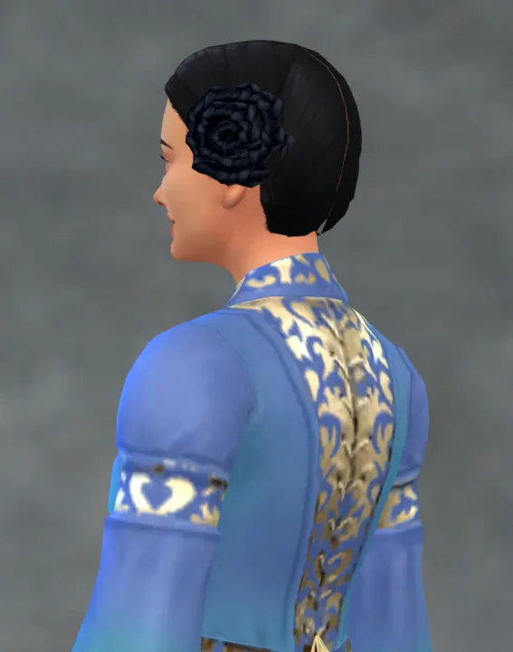 S2 Braided Buns Hair