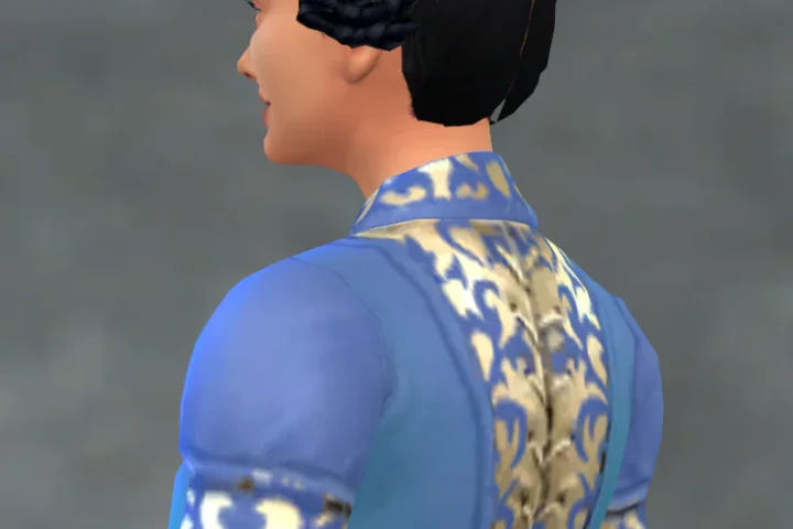 S2 Braided Buns Hair