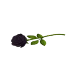 Dark Romance