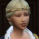 TSM Queen´s Net Hair with Simple Crown