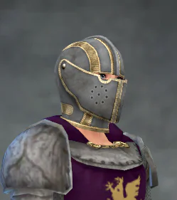 TSM Knight Faceguard Helmet