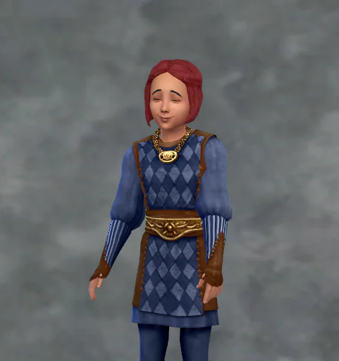 TSM Aristocrat Puffy Sleeves Fancy Version