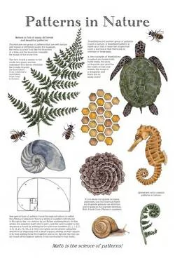 Educational Posters Part 2
