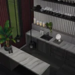 Dark MCM Kitchen