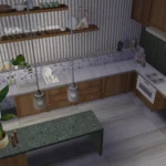 Earthy MCM Kitchen