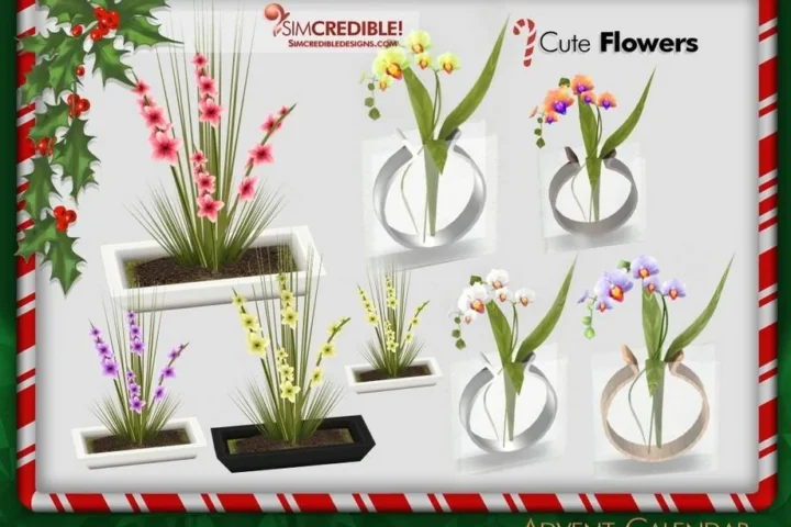 Advent Calendar 🎁 Day 20 - Flowers🌸🌷͙֒