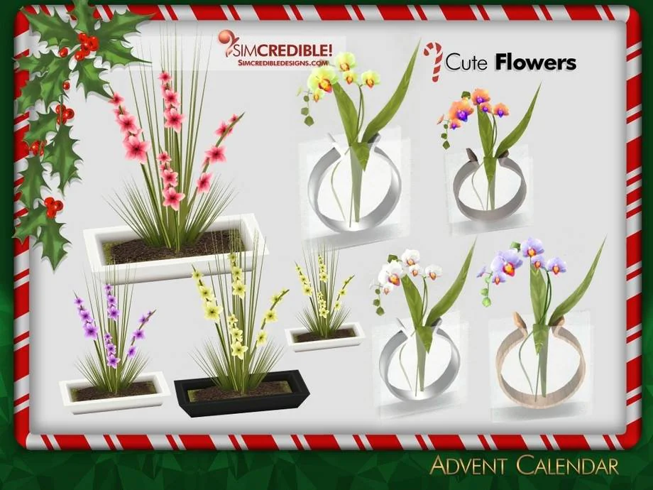 Advent Calendar 🎁 Day 20 - Flowers🌸🌷͙֒