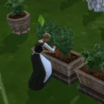 Tomarang Deco Pots & Planters