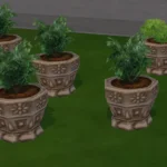 Tomarang Deco Pots & Planters