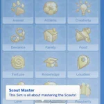 Scout Master Teen Aspiration