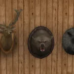 TSM Mounted Hunting Trophies Deco