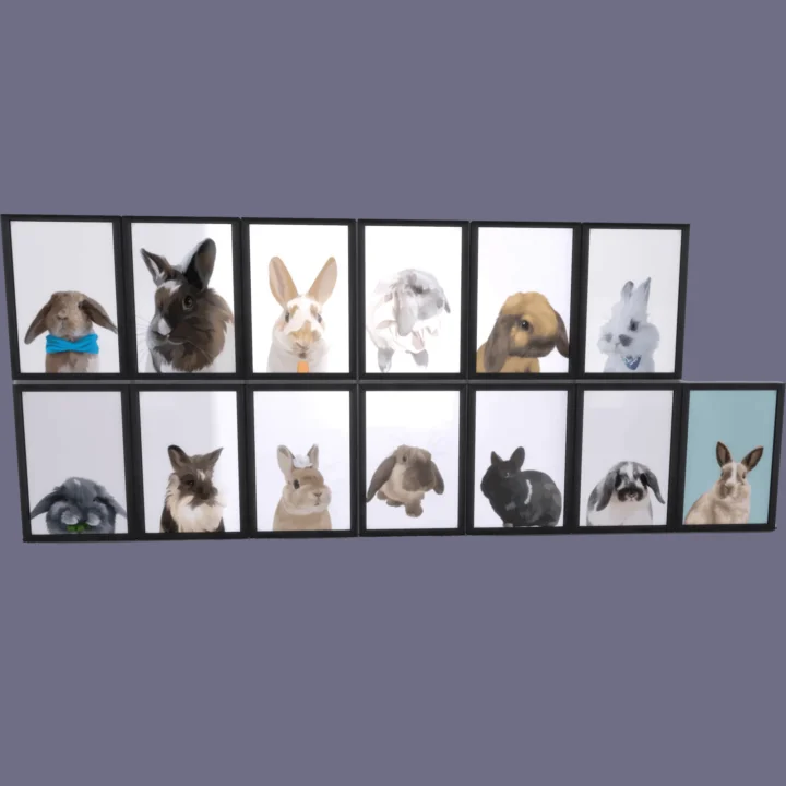 Bunny Art Prints