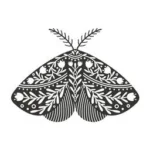 Mystic B&W Square