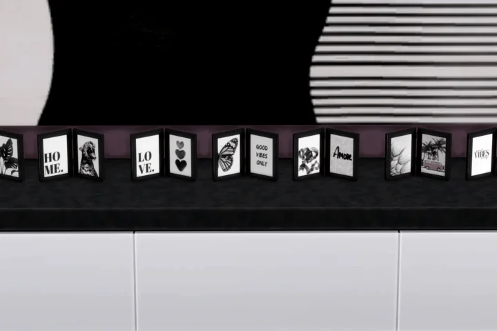Black & White Twin Photo Frame