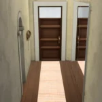 Long Rugs