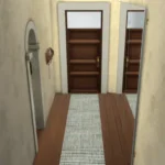 Long Rugs