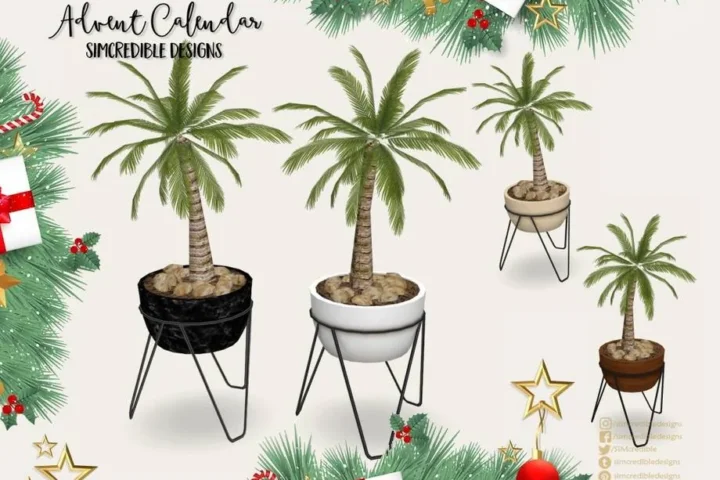 '23 Advent Calendar - Day 16 🎅🎁 - Large Plants 🍀☘️🍃🌿
