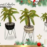 '23 Advent Calendar - Day 16 🎅🎁 - Large Plants 🍀☘️🍃🌿