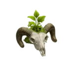 Enchanted Herbarium - Part 2