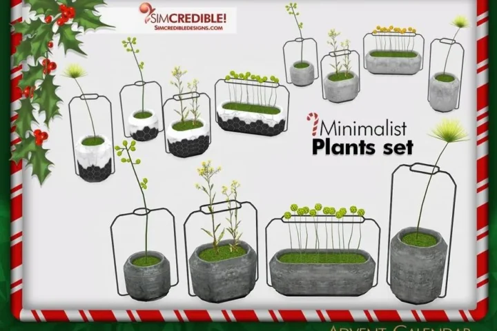 Advent Calendar 🎁 Day 5 - Minimalist Plants 🌱🌿