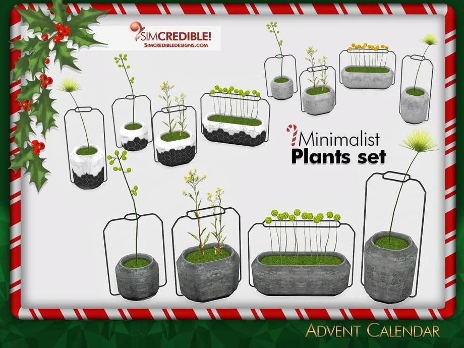 Advent Calendar 🎁 Day 5 - Minimalist Plants 🌱🌿