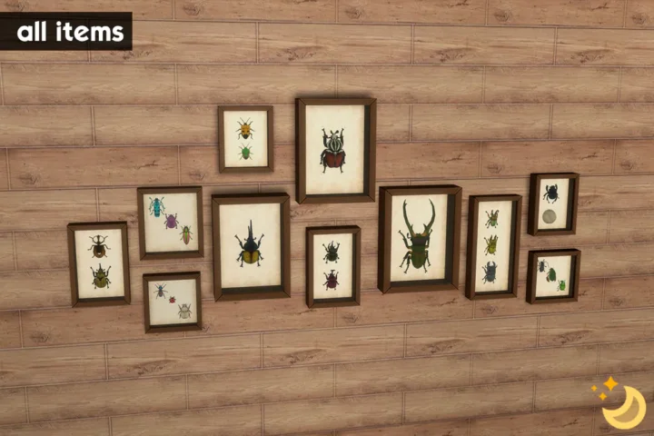 Framed Beetles