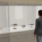 Beetle Displays